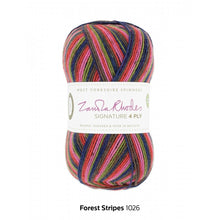 Load image into Gallery viewer, Signature 4-ply Sock by West Yorkshire Spinners (fingering)
