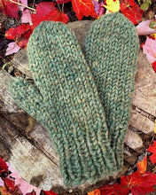 Load image into Gallery viewer, Bartlettyarns (bulky)