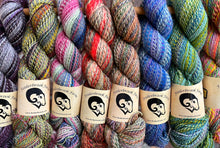 Load image into Gallery viewer, Feederbrook Farm Entropy DK