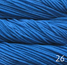 Load image into Gallery viewer, Malabrigo Chunky