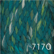 Load image into Gallery viewer, Encore Mega Colorspun by Plymouth Yarn