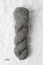 Load image into Gallery viewer, Quince &amp; Co. Owl (worsted)
