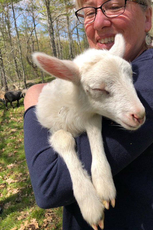 Two of Whitefield's Fiber Farm Stores!