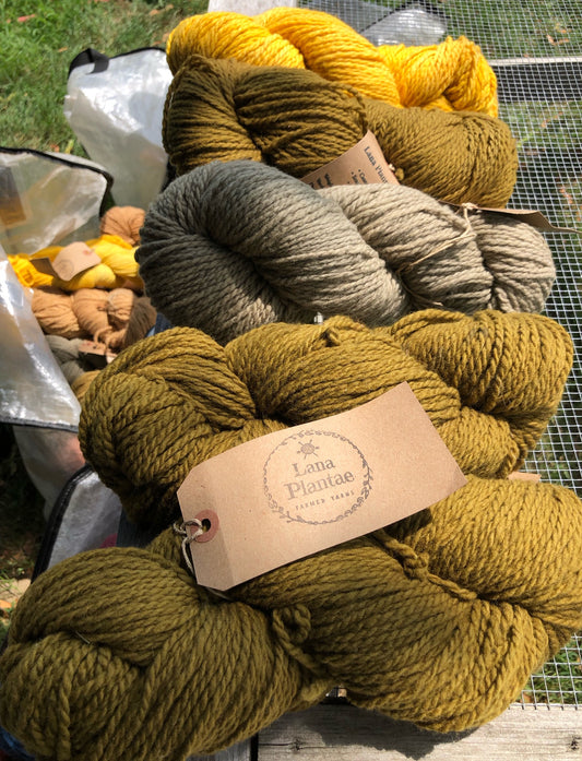 Lana Plantae Yarns