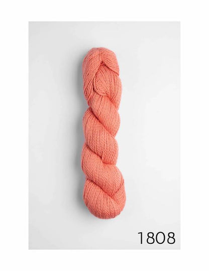 Sami Organic Cotton By Amano Yarns (dk)