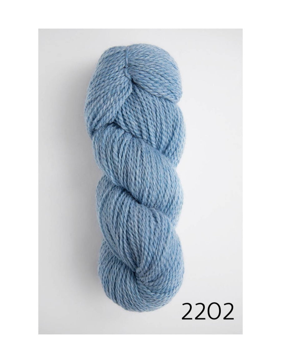 Amano Riti worsted weight merino wool yarn in color 2202