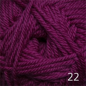 22 raspberry