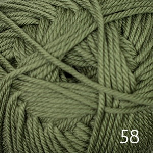 58 iguana