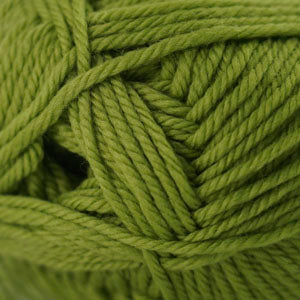 220 Superwash Merino by Cascade (worsted)