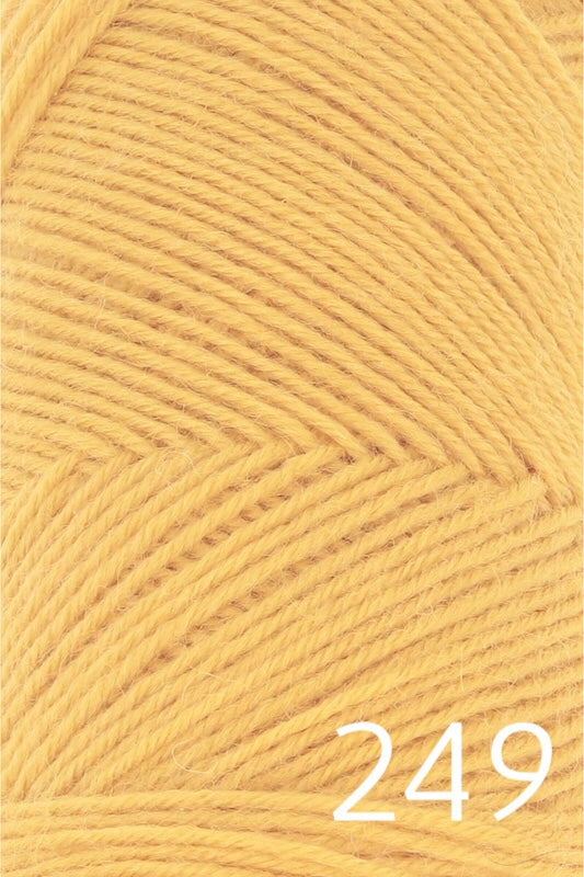 249 butternut