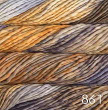 Load image into Gallery viewer, Malabrigo Rasta (super bulky)
