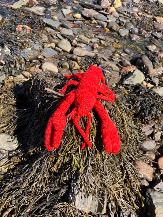 Knit Your Own Lobster Knitting Kit