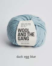 Load image into Gallery viewer, Crazy Sexy Wool by Wool and the Gang (super bulky)
