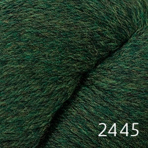 Cascade 220 (worsted)