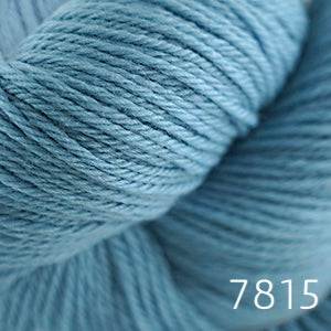 Cascade 220 (worsted)