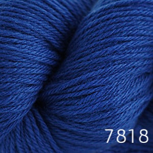 Cascade 220 (worsted)