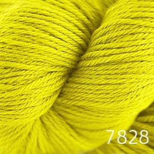 Cascade 220 (worsted)