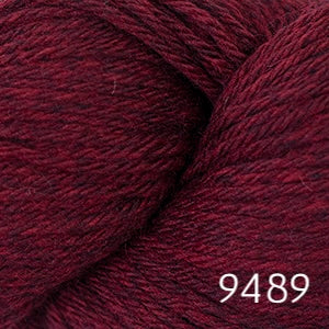 Cascade 220 (worsted)