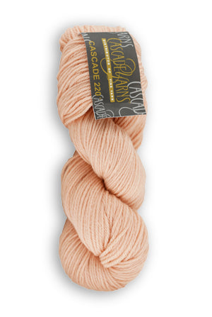 Cascade 220 worsted wool yarn skein