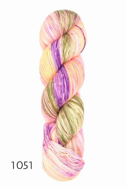 Araucania Huasco Sock Hand Painted (fingering/sock)