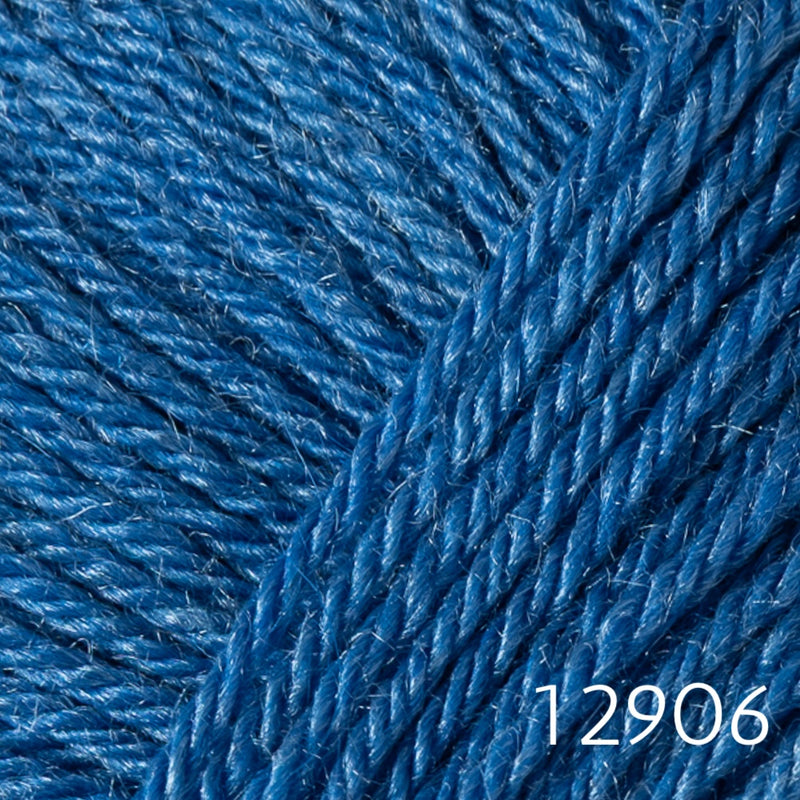 12906 cornflower
