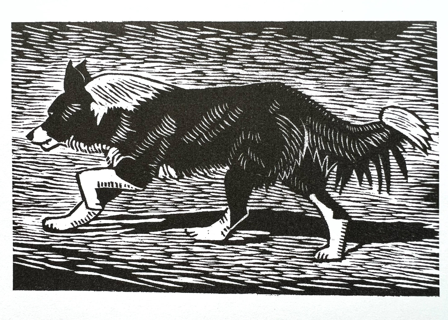 Note Cards by Leslie Moore