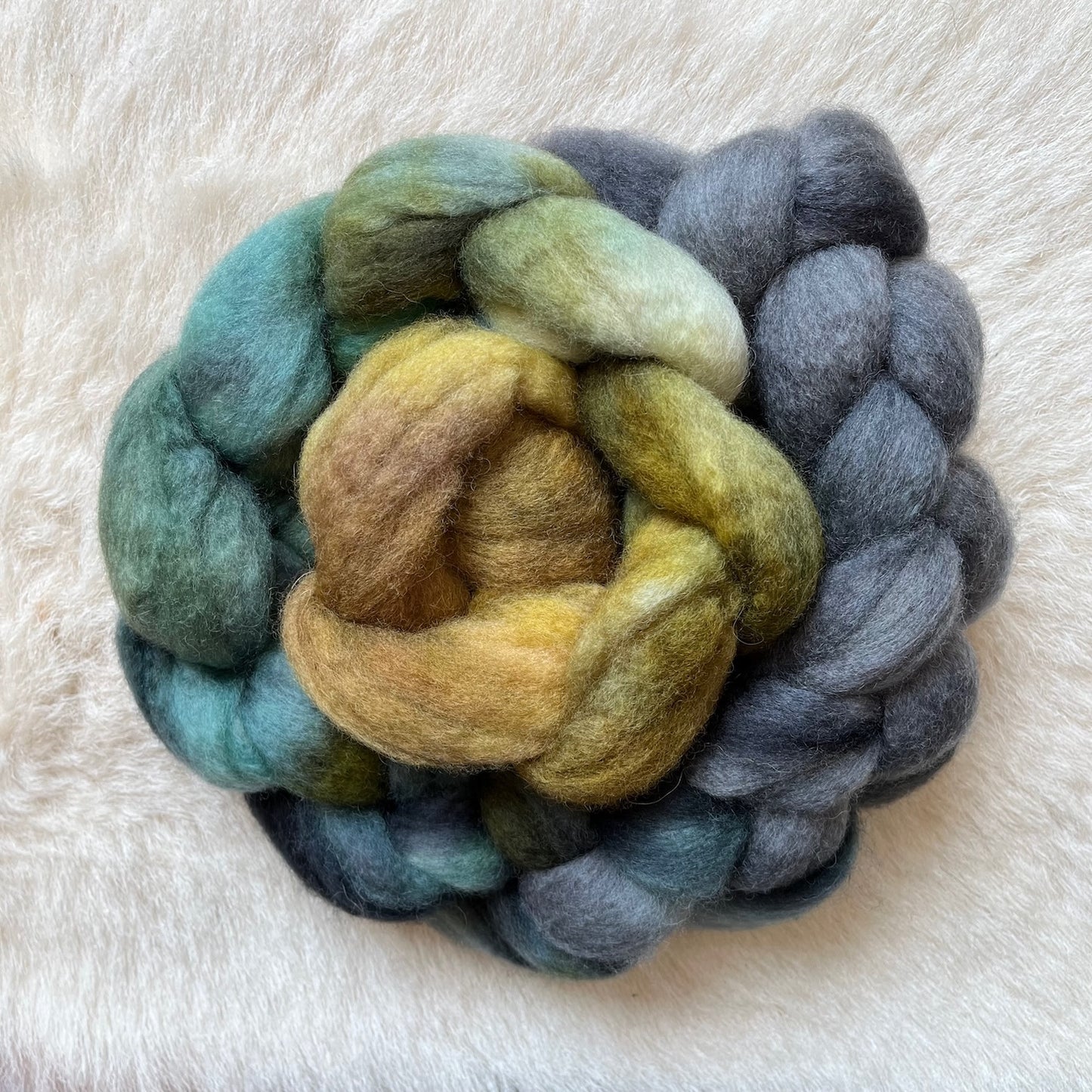 BFL Spinning or felting fiber hand dyed in a gradient of teal, sage green, mustard yellow, and charcoal gray.