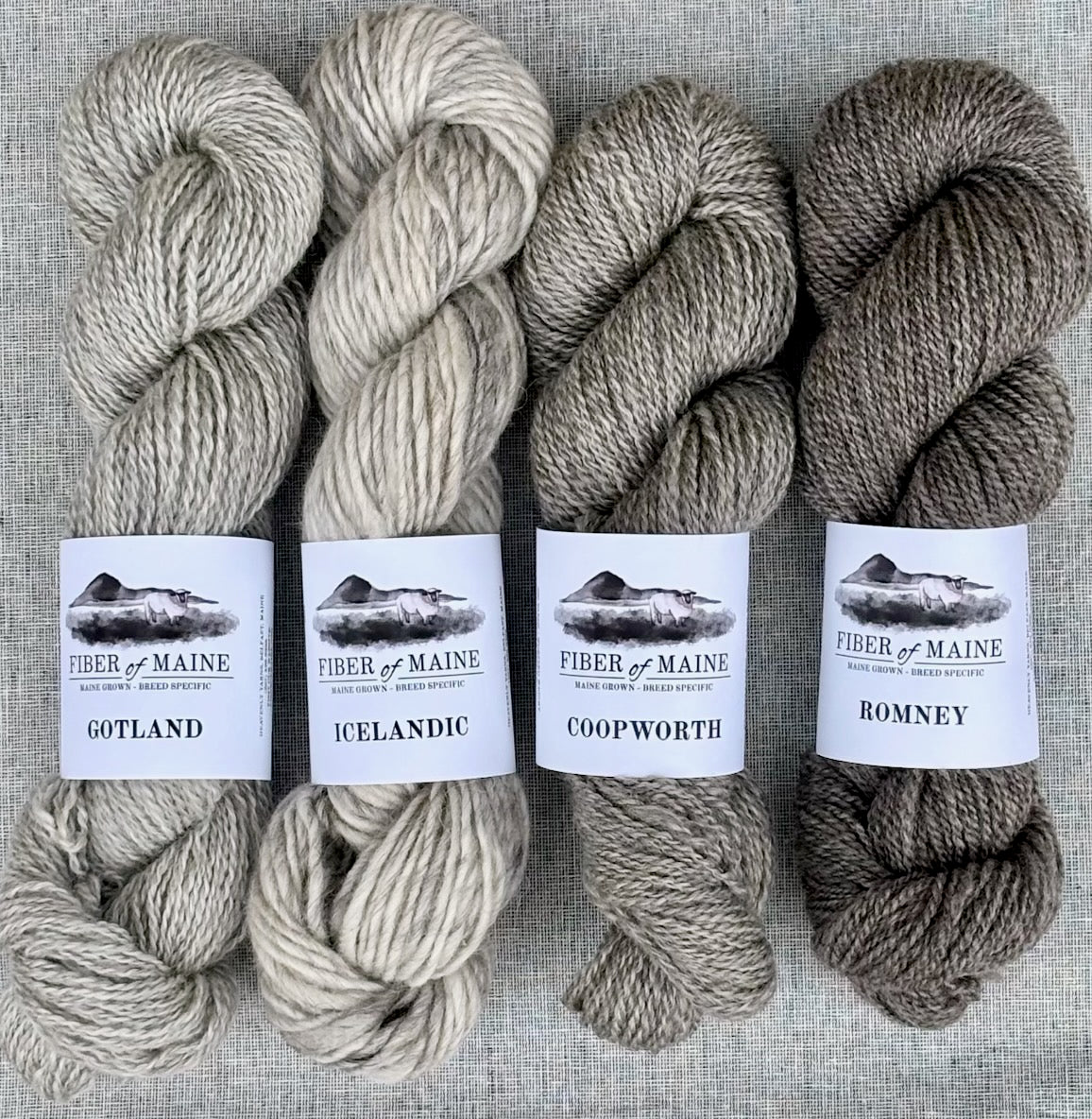 Fiber of Maine Breed Specific Yarn (worsted & bulky)