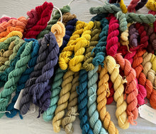 Load image into Gallery viewer, Natural Dye Rainbow: A Natural Dye Adventure!
