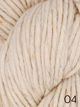 Load image into Gallery viewer, Eco Tweed Chunky by Ella Rae (bulky)
