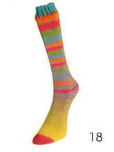 Load image into Gallery viewer, Infinity Sock by Laines du Nord (fingering/sock)
