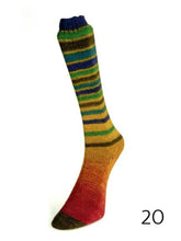 Load image into Gallery viewer, Infinity Sock by Laines du Nord (fingering/sock)

