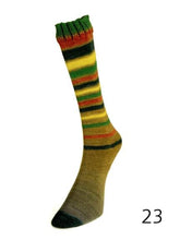 Load image into Gallery viewer, Infinity Sock by Laines du Nord (fingering/sock)
