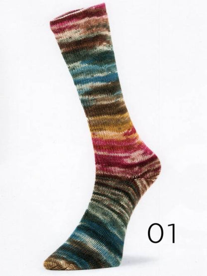 Laines du Nord Mad Socks fingering weight sock yarn in color 01