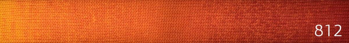 Laines du Nord Poema merino ombre yarn in color 812