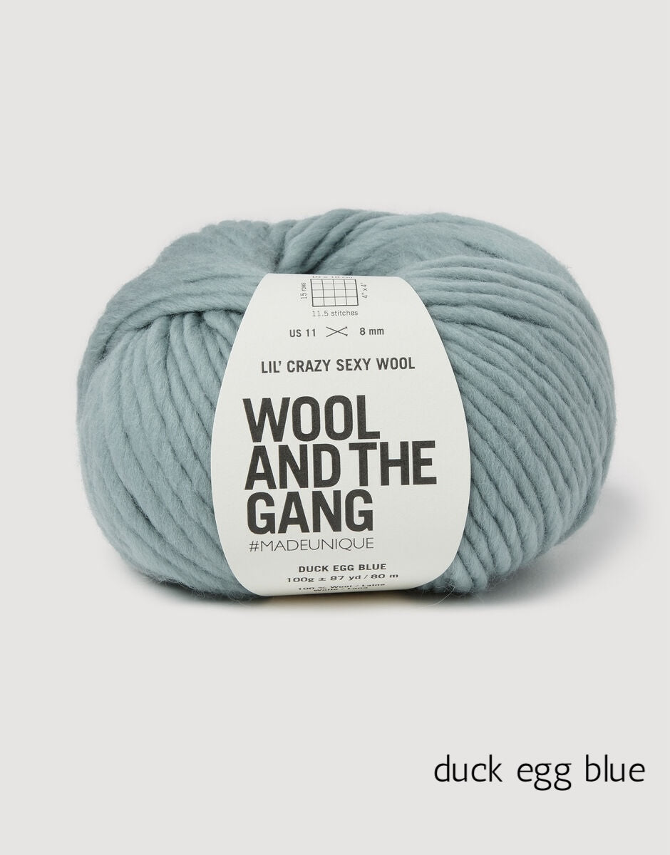 Lil' Crazy Sexy Wool in shade duck egg blue