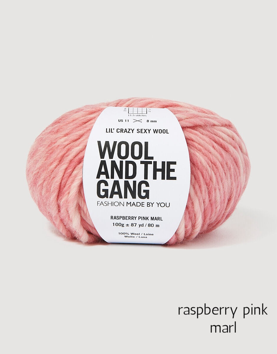 Lil' Crazy Sexy Wool in shade raspberry pink marl