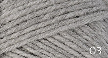 Load image into Gallery viewer, Nature Spun Fingering by Brown Sheep (fingering)
