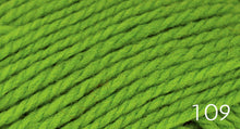 Load image into Gallery viewer, Nature Spun Fingering by Brown Sheep (fingering)
