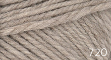Load image into Gallery viewer, Nature Spun Fingering by Brown Sheep (fingering)
