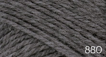 Load image into Gallery viewer, Nature Spun Fingering by Brown Sheep (fingering)
