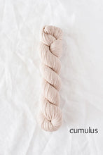 Load image into Gallery viewer, Quince &amp; Co. Tern (fingering)

