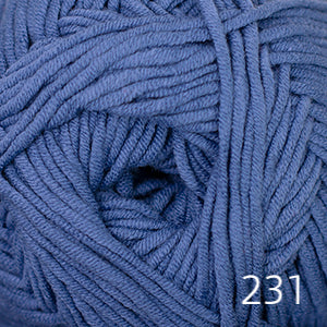 Sarasota Chunky by Cascade (bulky)