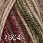 Encore Chunky Colorspun