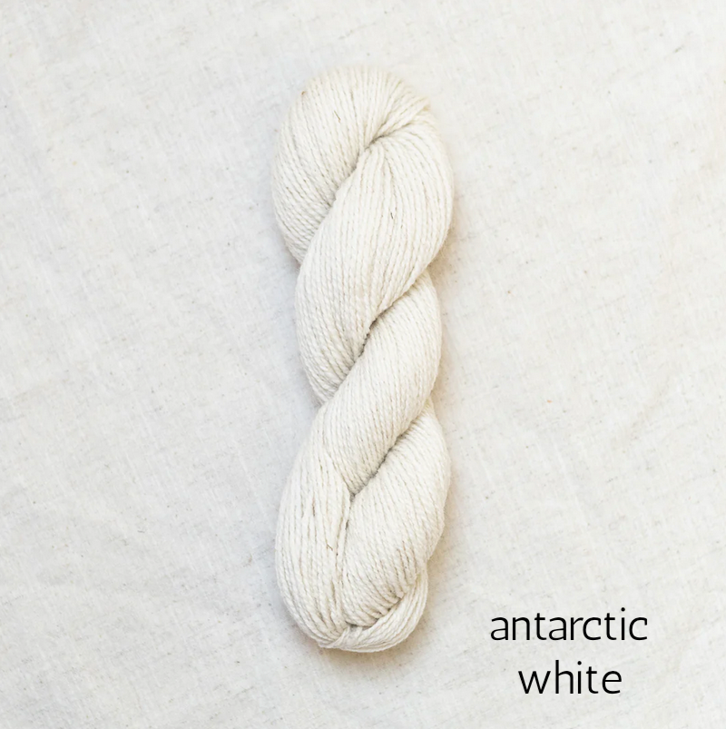 antarctic white