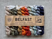 Load image into Gallery viewer, Super Silky Theme Pack by Emma&#39;s Yarn (fingering)
