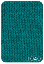 Load image into Gallery viewer, Fleece Bluefaced Leicester by West Yorkshire Spinners  (dk)

