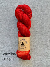 Load image into Gallery viewer, Madelinetosh Tosh Merino Light (fingering)
