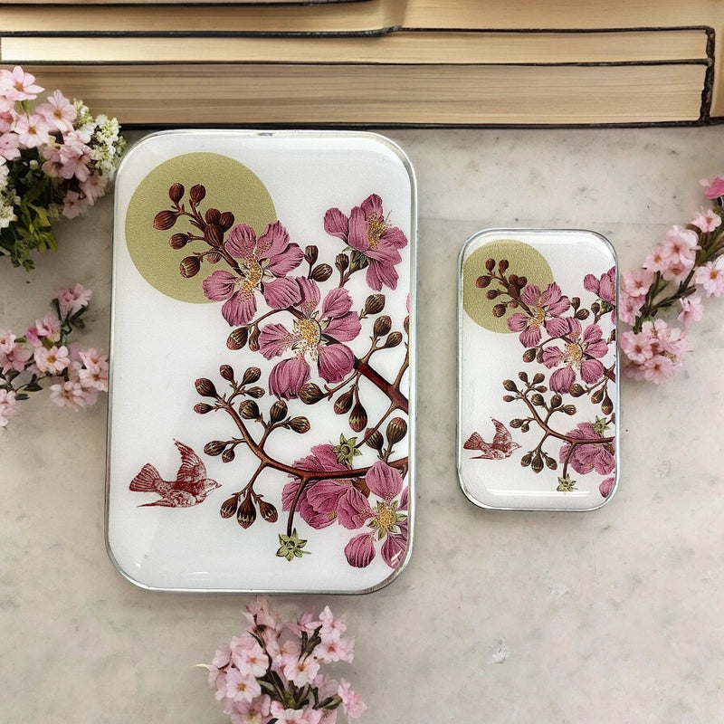 pink blossoms