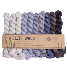 Load image into Gallery viewer, Super Silky Theme Pack by Emma&#39;s Yarn (fingering)
